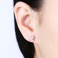 Picture of Fascinating White Platinum Plated Stud 