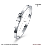 Picture of Long Lasting Platinum Plated Platinum Plated Bangles