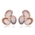 Picture of Zinc Alloy Rose Gold Plated Stud Earrings with Full Guarantee