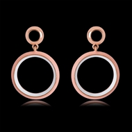 Picture of Enamel Zinc Alloy Dangle Earrings with Beautiful Craftmanship