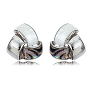 Picture of Classic Shell Stud Earrings with Fast Delivery