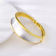 Picture of Dubai Zinc Alloy Fashion Bangle with Beautiful Craftmanship