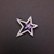 Picture of Top Swarovski Element Star Brooche