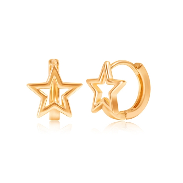 Picture of Staple Small Star Small Hoop Earrings