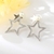 Picture of Sparkling Star Small Stud Earrings