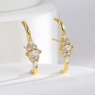 Picture of Bling Party Fashion Dangle Earrings